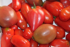 Assortment of Heirloom Tomatoes