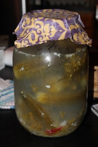 Jar of fermented pickles